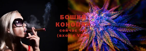 сатива Балахна