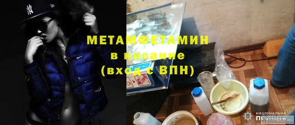 сатива Балахна