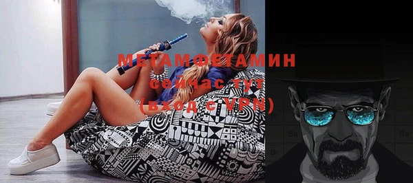 сатива Балахна