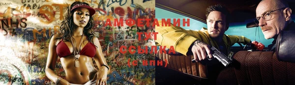 сатива Балахна