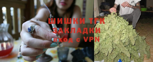 ГАЛЛЮЦИНОГЕННЫЕ ГРИБЫ Балабаново