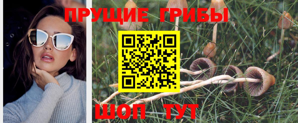 Галлюциногенные грибы ЛСД Коммунар